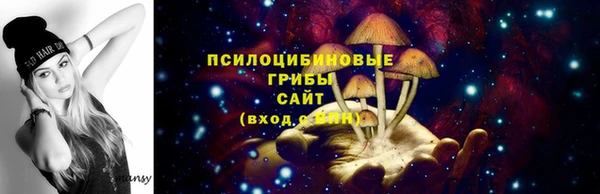 ГАЛЛЮЦИНОГЕННЫЕ ГРИБЫ Абаза