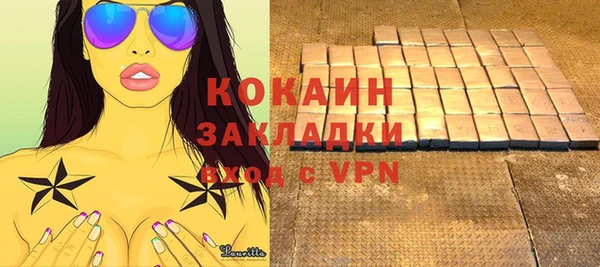 шишки Алексин