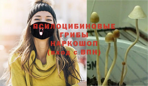 ГАЛЛЮЦИНОГЕННЫЕ ГРИБЫ Абаза